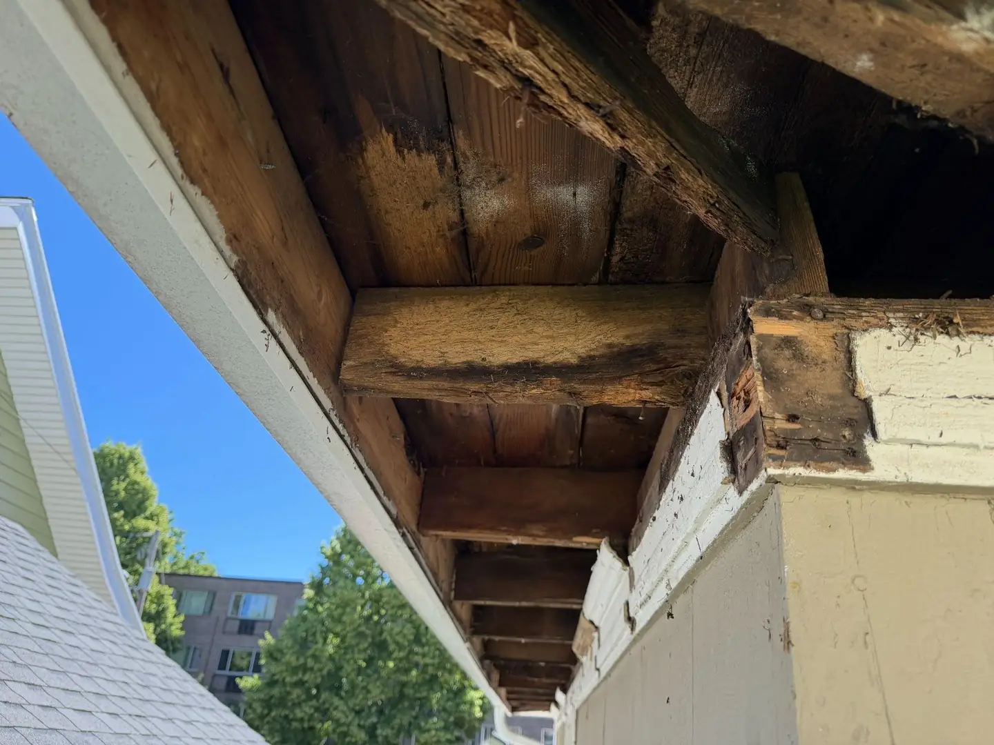 Soffit opened up. The rafter tails behind it had gone too, so the new boards had nothing sound to hang from until those were cut back and sistered.